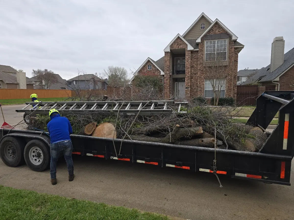 Expert Tree Fertilization with proper safety equipment in Old Monroe